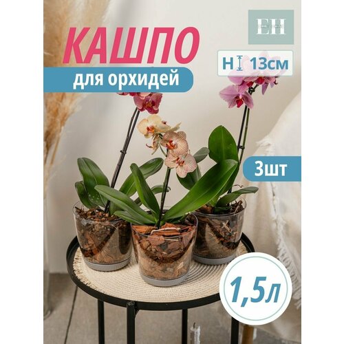 Кашпо для орхидей Elly Home, 1,5 литра, набор из 3 шт, горшок для цветов, пластиковый цветочный вазон