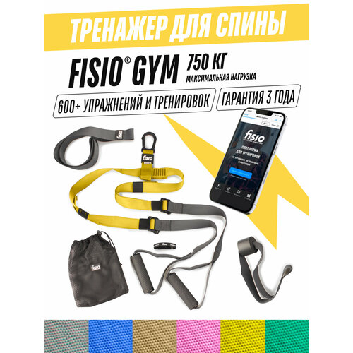 Тренажер для спины и позвоночника - петли Fisio Gym