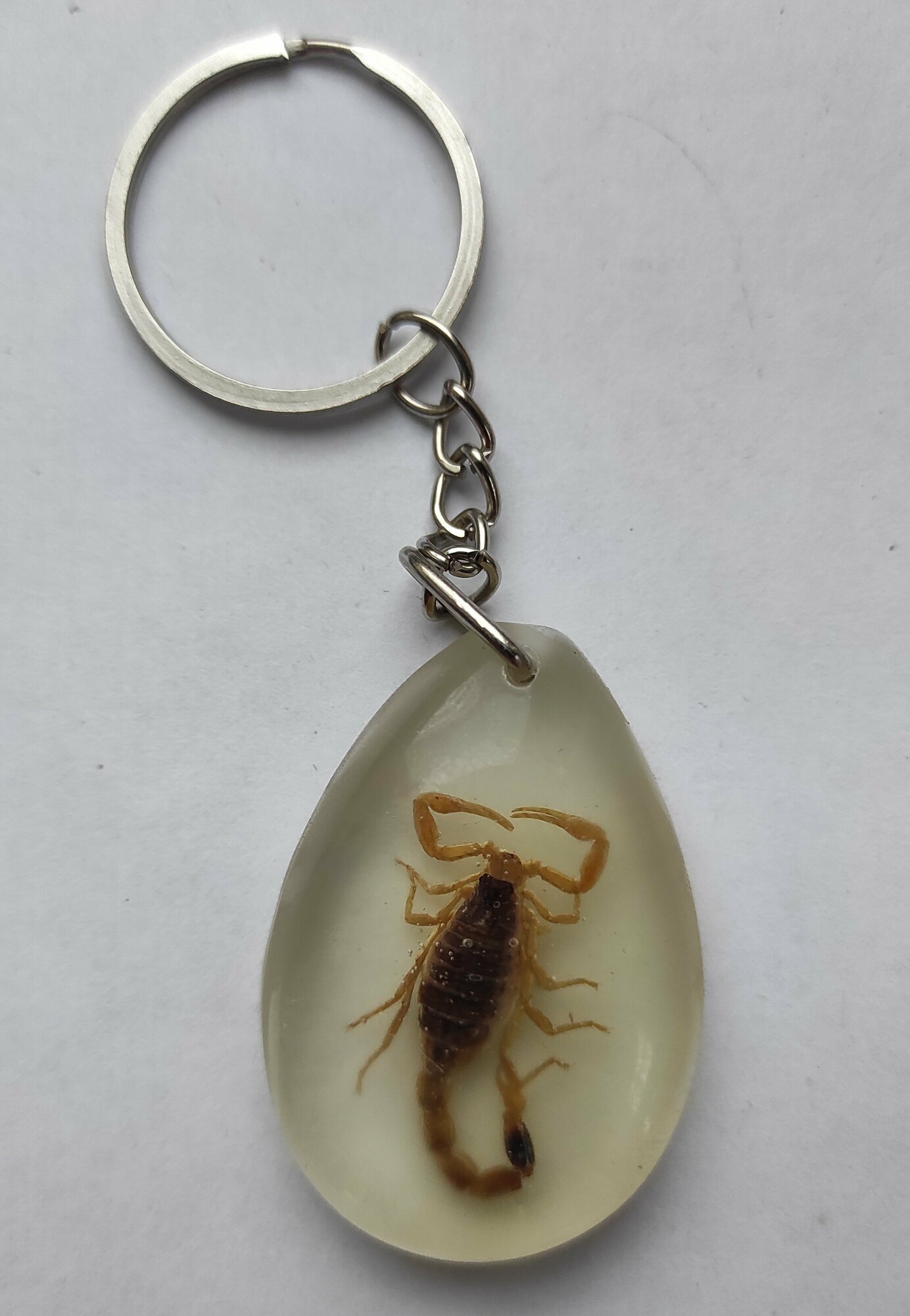 Брелок, 2 шт., бесцветный — фото 1