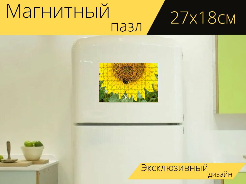 Магнитный пазл "Подсолнухи, семена подсолнечника, желтый" на холодильник 27 x 18 см.
