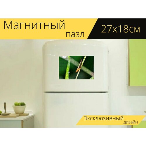 Магнитный пазл Кузнечик, природа, насекомое на холодильник 27 x 18 см.