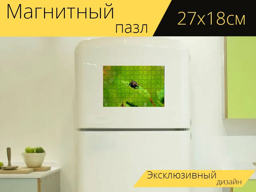 Магнитный пазл "Ścierwica mięsówka, нахлыст, лист" на холодильник 27 x 18 см.