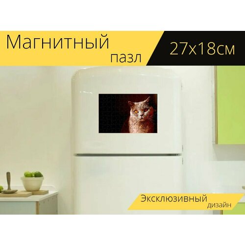 Магнитный пазл Кот, красивая, домашнее животное на холодильник 27 x 18 см.