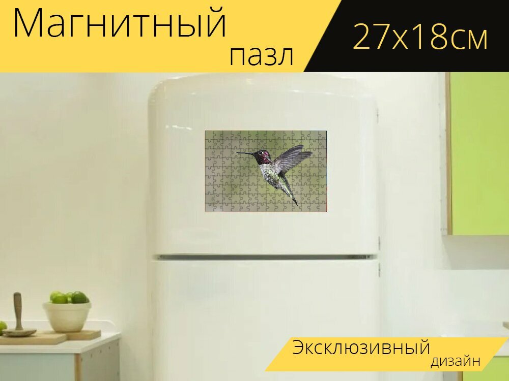 Магнитный пазл "Колибри анны, полет, колибри" на холодильник 27 x 18 см.