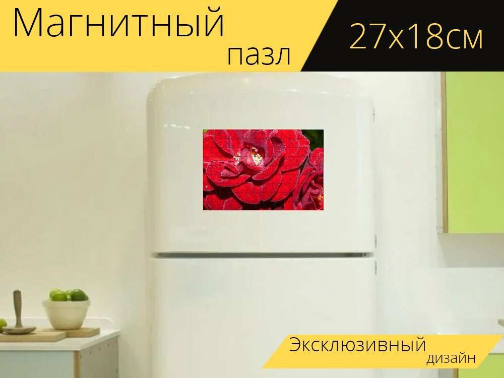 Магнитный пазл "Розы, красный, ночь" на холодильник 27 x 18 см.