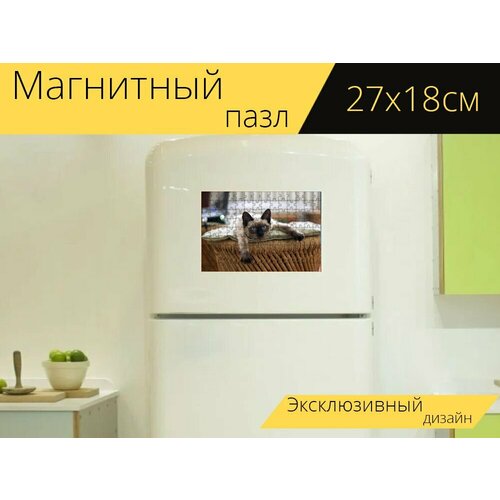 Магнитный пазл Кот, кошка, тайская кошка на холодильник 27 x 18 см.