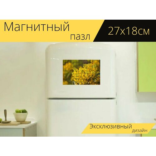 Магнитный пазл Мимоза, цветок, растение на холодильник 27 x 18 см. магнитный пазл стапелия растение цветок на холодильник 27 x 18 см