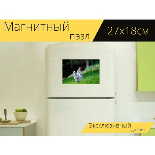 Магнитный пазл Петух, курица, мужчина на холодильник 27 x 18 см.