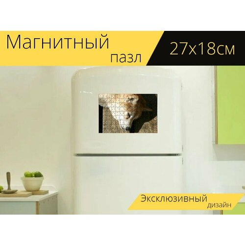 Магнитный пазл Сиба ину, собака, спать на холодильник 27 x 18 см. магнитный пазл сиба ину собака дож мем на холодильник 27 x 18 см