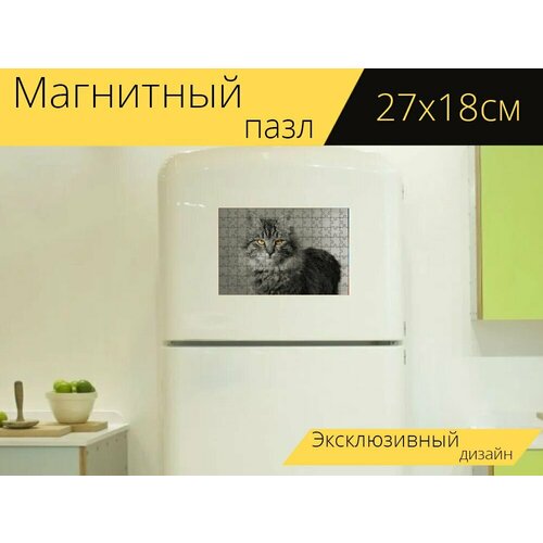 Магнитный пазл Кошка, млекопитающее, животное на холодильник 27 x 18 см. магнитный пазл кошка кошачий млекопитающее на холодильник 27 x 18 см