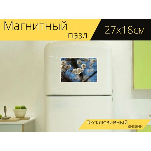 Магнитный пазл Цветение сливы, сливы, весенние цветы на холодильник 27 x 18 см.