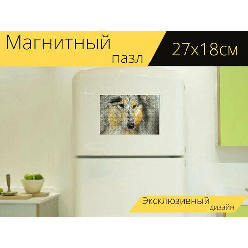 Магнитный пазл Собака, шелти, пастушья собака на холодильник 27 x 18 см.