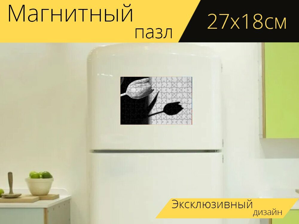 Магнитный пазл "Тюльпан, тень, стена" на холодильник 27 x 18 см.