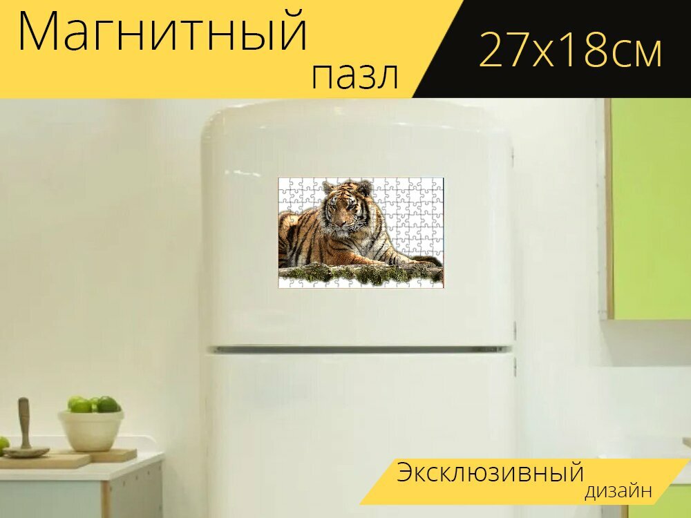 Магнитный пазл "Бенгальский, тигр, большой кот" на холодильник 27 x 18 см.