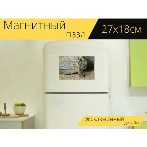 Магнитный пазл Сурикат, млекопитающее, животное на холодильник 27 x 18 см. стол сурикат млекопитающее животное 65x65 см кухонный квадратный с принтом