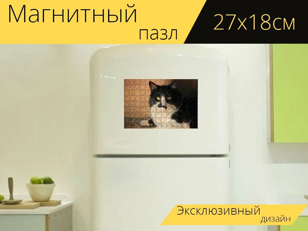 Магнитный пазл "Кот, кошачий, черное и белое" на холодильник 27 x 18 см.