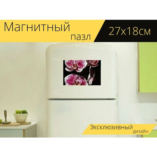 Магнитный пазл Орхидея, фиолетовый, цвести на холодильник 27 x 18 см. магнитный пазл клевер цвести фиолетовый на холодильник 27 x 18 см