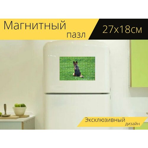 Магнитный пазл Немецкая овчарка, собака, мяч на холодильник 27 x 18 см. картина на осп черная немецкая овчарка собака мяч 125 x 62 см