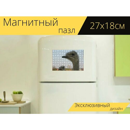 Магнитный пазл Страус, клюв, голова на холодильник 27 x 18 см. магнитный пазл утка голова клюв на холодильник 27 x 18 см