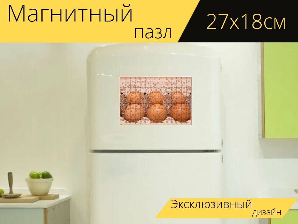 Магнитный пазл "Яйца, куриное яйцо, биография" на холодильник 27 x 18 см.