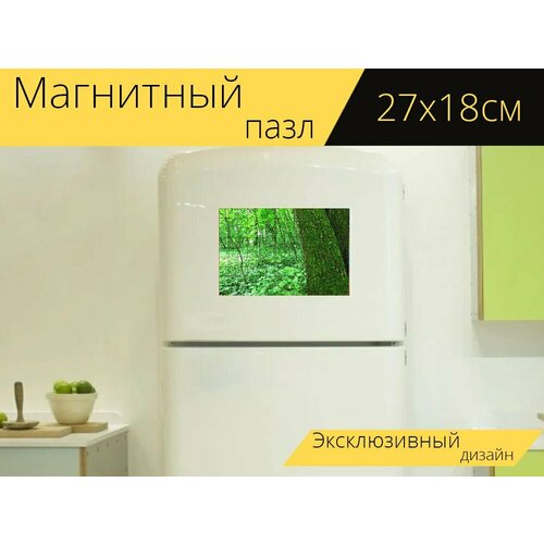 Магнитный пазл Природа, дерево, деревья на холодильник 27 x 18 см.