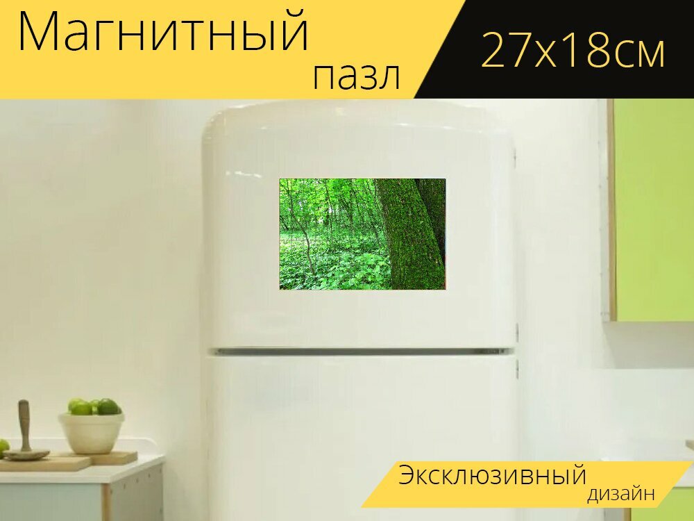 Магнитный пазл "Природа, дерево, деревья" на холодильник 27 x 18 см.