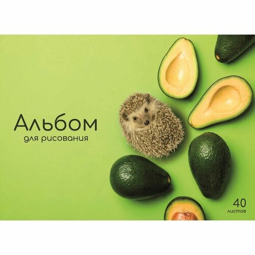 Альбом д/рис А4 40л на клею Авокадо, обл мел карт, бл офс 100г/м2