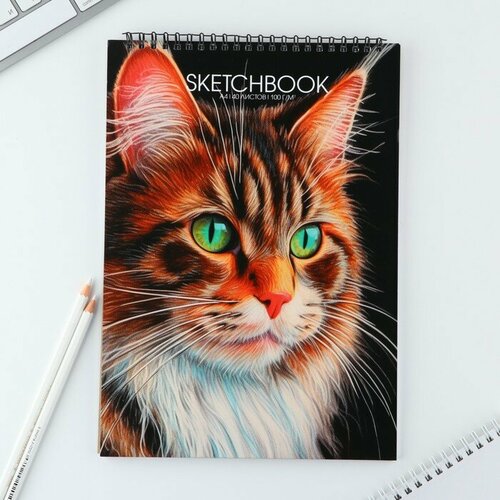 Скетчбук А4, 40 л. 100 г/м 