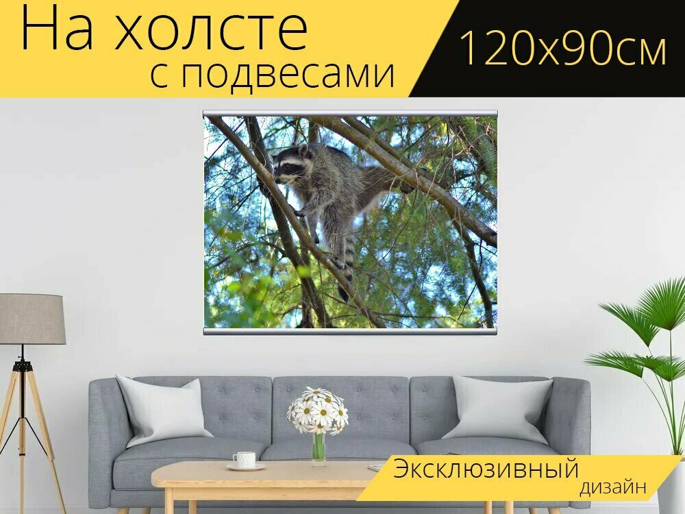 Картина на холсте "Енот, животное, дикий" с подвесами 120х90 см. для интерьера