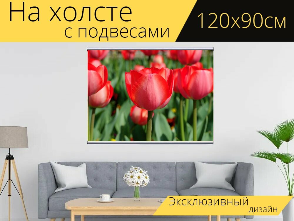 Картина на холсте "Тюльпаны, цветы, растения" с подвесами 120х90 см. для интерьера