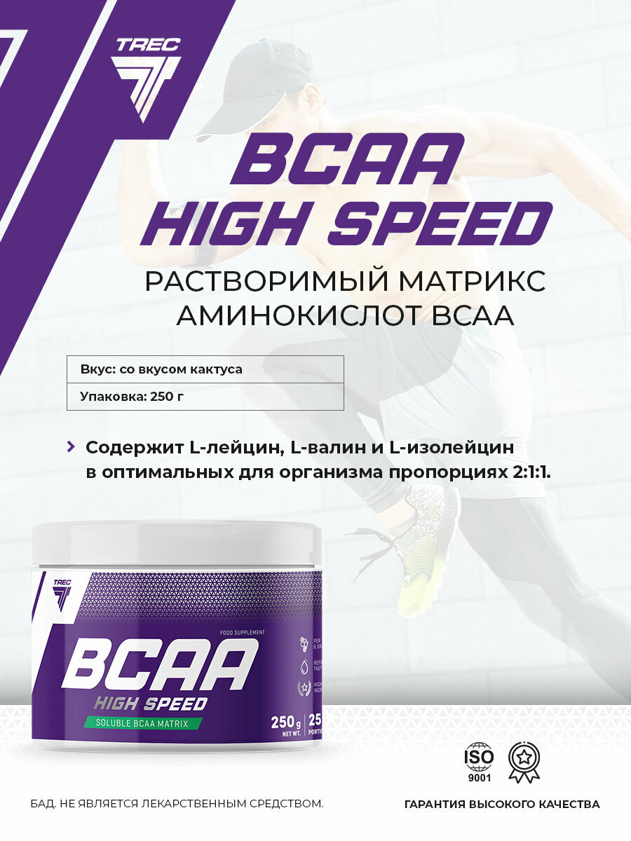 BCAA спорт питание порошок 250 гр, Trec Nutrition BCAA 2:1:1 High Speed, вкус кактус