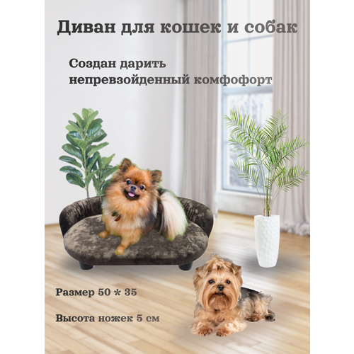 Лежанка, диван для кошек и собак, цвет коричневый, 50 см