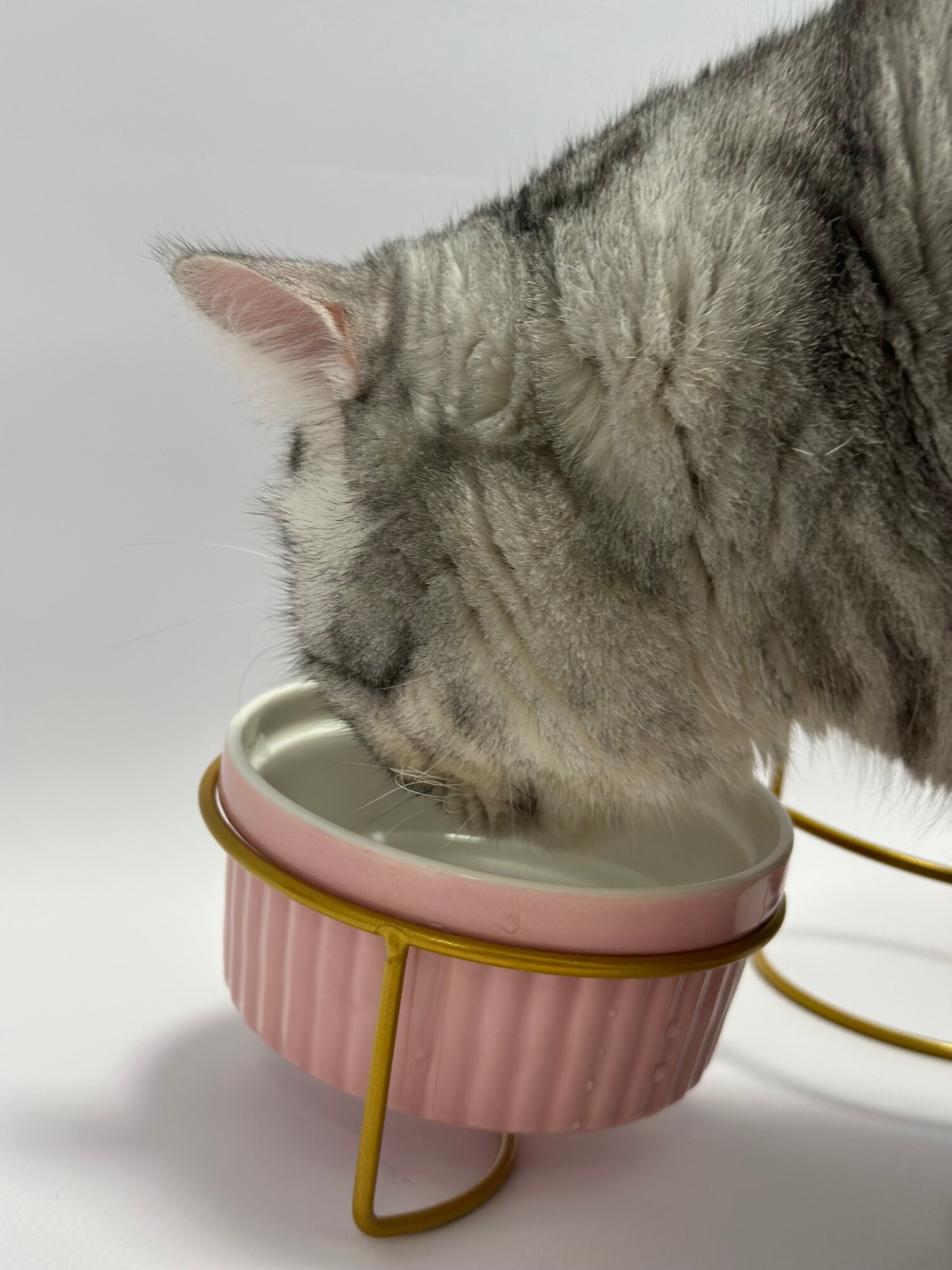 Миски И Подставки Xiaomi Миски для кошек и собак мелких пород на подставке керамические