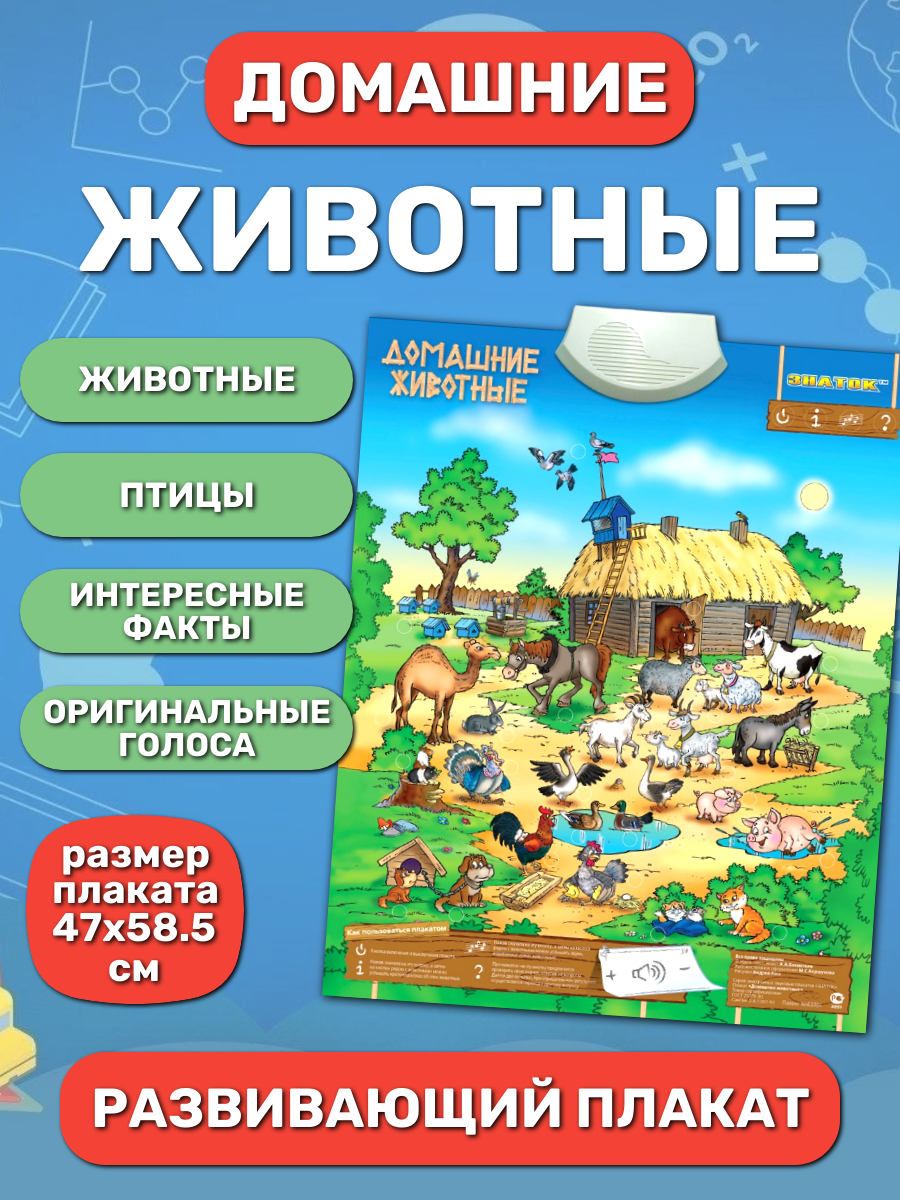 Обучающий звуковой плакат ЗНАТОК 