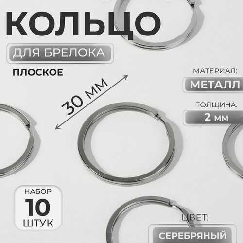 Изображение товара Кольцо для брелока, плоское, d = 30 мм, толщина 2 мм, 10 шт, цвет серебряный