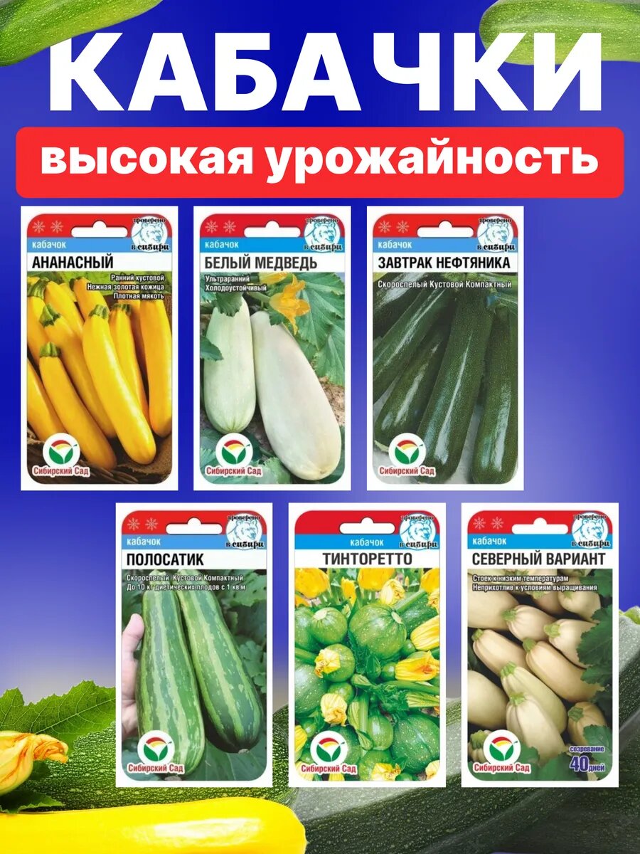 Kaбачок ранний кустовой семена 6 штук