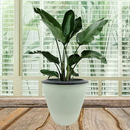 Кашпо для комнатных растений, цвет: зелёный