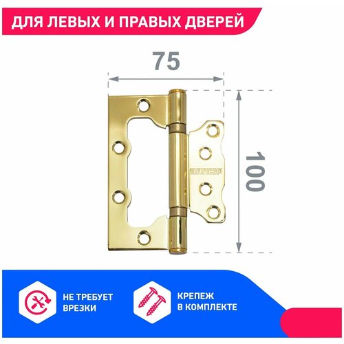 Петля бабочка 100*75*2,5 2ВВ PB (Золото)