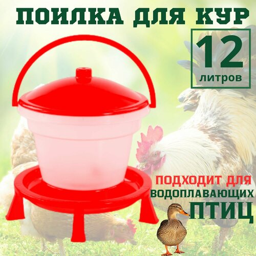 Поилка для кур поплавковая 12 литров, уток, цесарок, перепелов