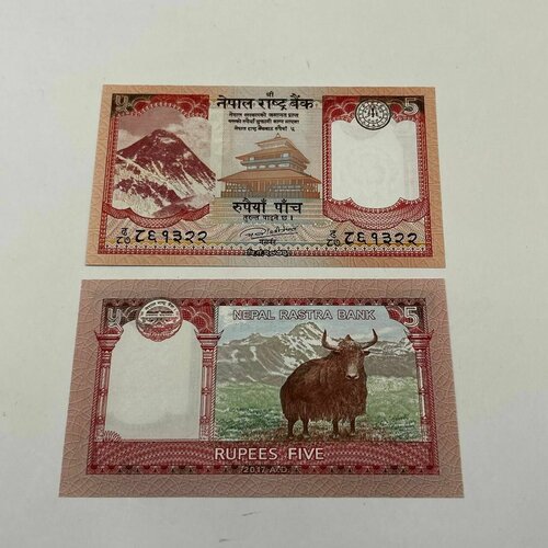 Банкнота Непал 5 рупий с быком! Редкость! непал 5 рупий 1968 1973 г ступа сваямбунатх храм обезьян в катманду аunc достаточно редкая