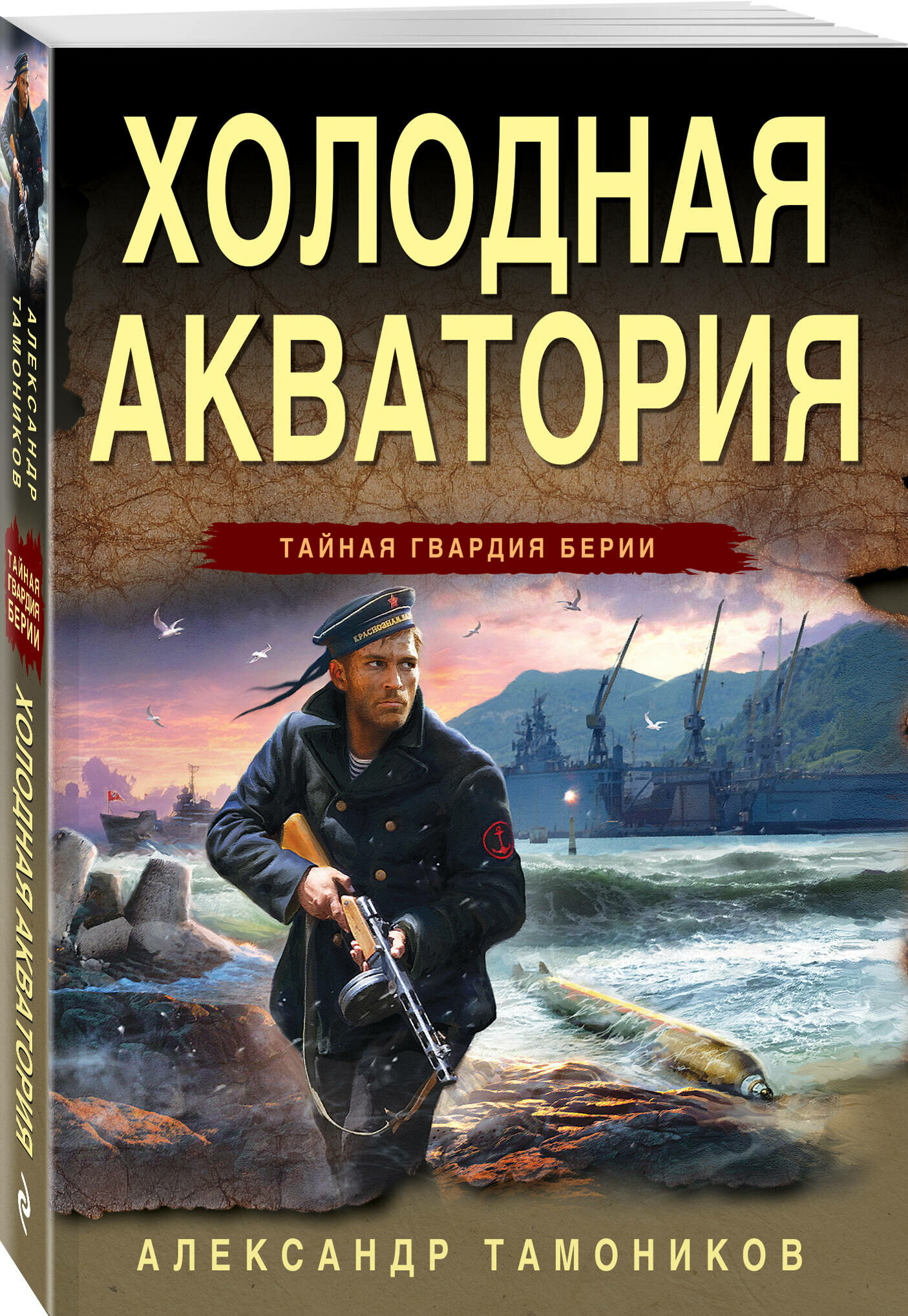 Холодная акватория (Тамоников Александр Александрович) - фото №1