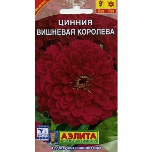 Цинния Вишневая королева 03г (Аэлита)