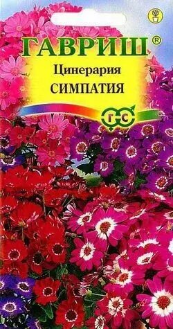 Цинерария Симпатия семена Гавриш 8шт