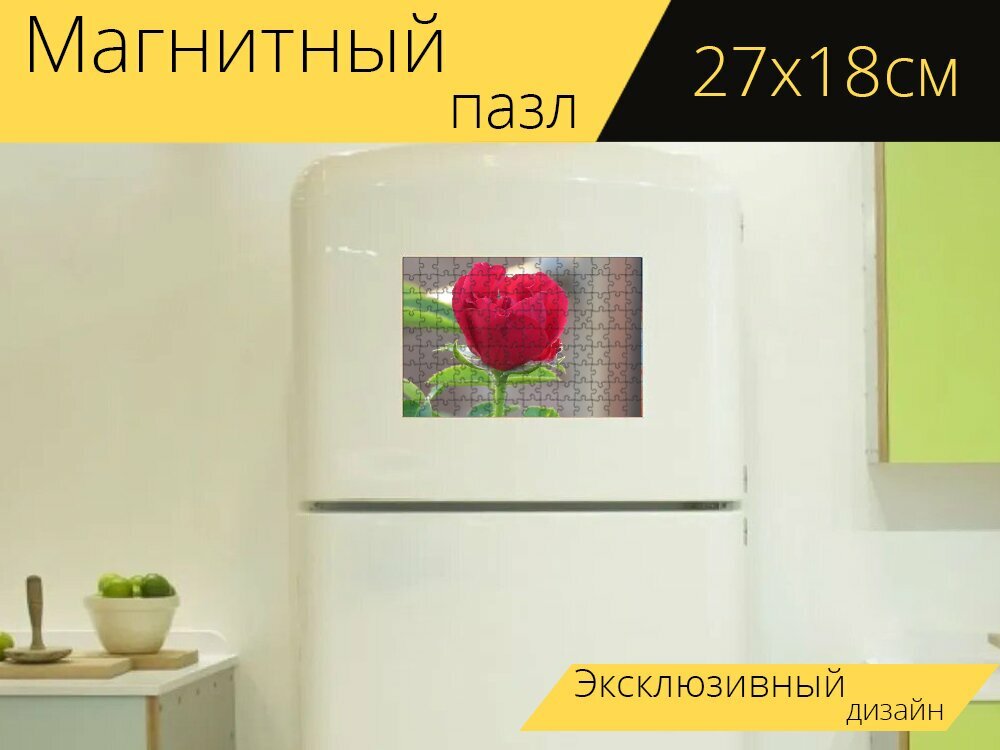 Магнитный пазл "Красная роза цветок, роза, розы" на холодильник 27 x 18 см.