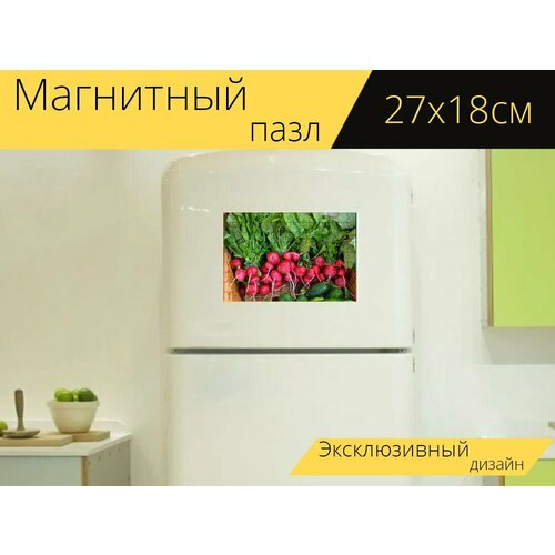 Магнитный пазл Красный редис, редис, овощ на холодильник 27 x 18 см.