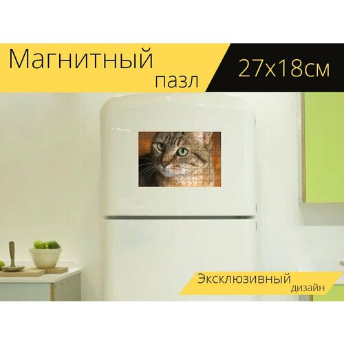 Магнитный пазл Симпатичные, животное, мех на холодильник 27 x 18 см. магнитный пазл выдра животное мех на холодильник 27 x 18 см