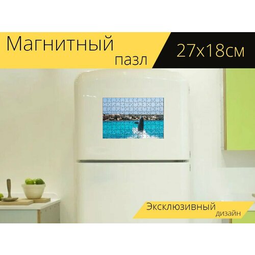 Магнитный пазл Дельфины, аквариум, ходьба на холодильник 27 x 18 см. магнитный пазл мальчик ходьба листья на холодильник 27 x 18 см