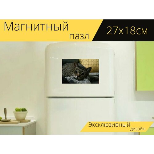 Магнитный пазл Кошка, китти, кошачий на холодильник 27 x 18 см. магнитный пазл котенок кошка китти на холодильник 27 x 18 см