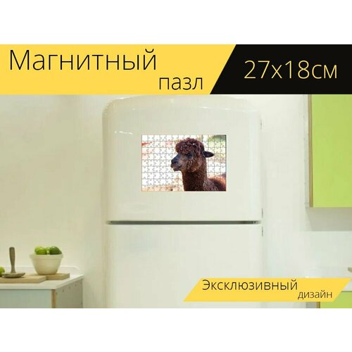 Магнитный пазл Альпака, млекопитающее, животное на холодильник 27 x 18 см. магнитный пазл альпака млекопитающее перу на холодильник 27 x 18 см