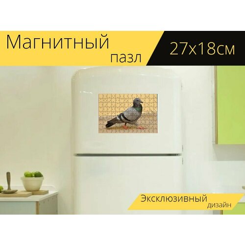 Магнитный пазл Голубь, птицы, макрос на холодильник 27 x 18 см.